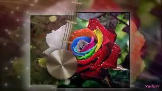 Очень красивые цветы