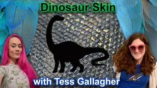 Diplodocus skin was like jelly beans