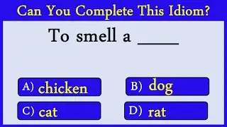 English Idiomatic Expression Quiz 15: Can You Score 10/10?