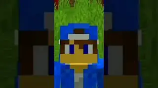 КАКОЕ САМОЕ ЛУЧШЕЕ ОРУЖИЕ | WINRIC #shorts #майнкрафт #minecraft