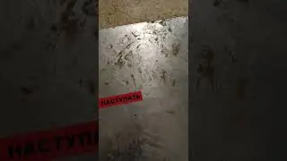 что в лоб что полбу 