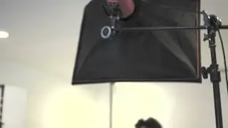 be pro2 jojo
