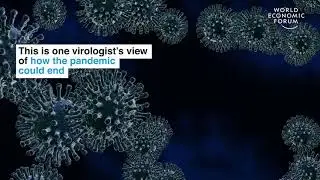 How can the Coronavirus Pandemic end?(2020....?)