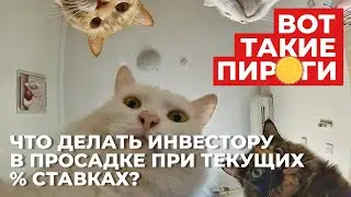 Что делать инвестору в просадке при текущих % ставках?