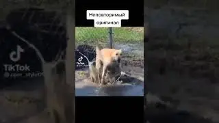 Ольга бузова