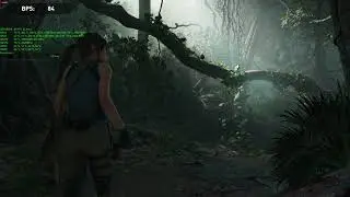Shadow of the Tomb Raider - mGPU Radeon VII - no VSync