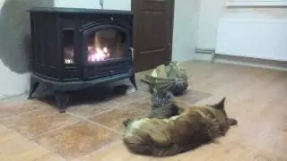 Печь - камин Kratki koza K9. Отзывы владельца