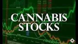 WEED STOCKS 2018:  a peek into my portfolio