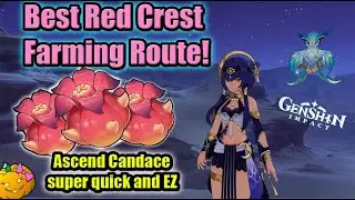 Best Red Crest Farming Route! Locations and Quick Efficient Farm - Sumeru Genshin Impact 3.1
