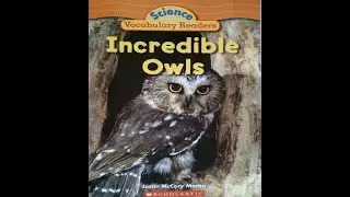 Incredible Owls Read Aloud