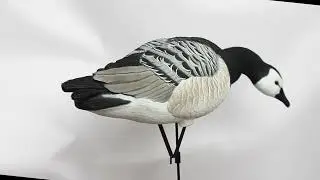Duck Mania гусь Казарка DM-100503-2024