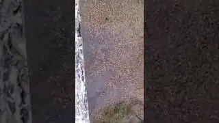 роупджампинг в ставрополе