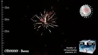 СП1010001   Вьюга