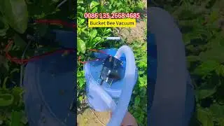 Bucket Bee Vacuum