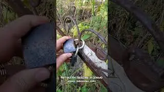 РИТУАЛ НА ЛЮБОВЬ И СЕМЬЮ