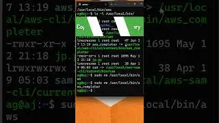 How to uninstall AWS CLI version 2 | WSL | Ubuntu