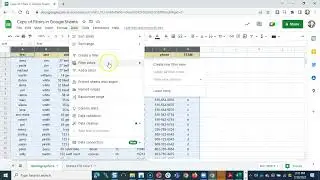 Creating Filter Views in Google Sheets
