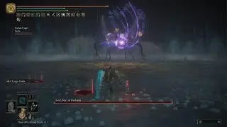 Astel, Stars of Darkness Boss Fight | Elden Ring