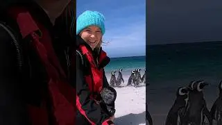 This is The Falklands #Falklands #falklandislands #thefalklands