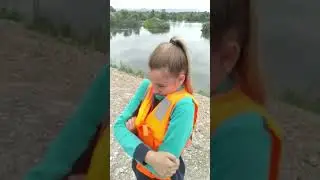 Бакланы уничтожают всё живое.