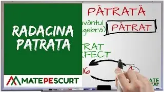 Radacina patrata