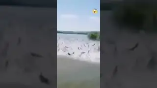 Сюда бы на рыбалку