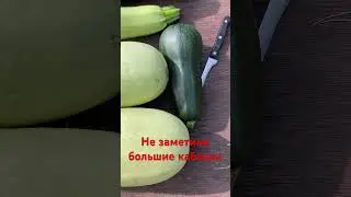 Не заметили большие кабачки#shorts