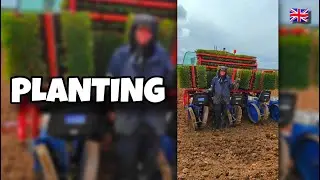 Planting 🌱 посадка 🇬🇧