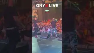 ONYX Live in Durer Kerr - Budapest #fredrostarr #stickyfingaz #hiphop #rap #onyx #music #shorts