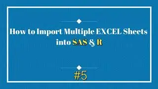 How to Import Multiple EXCEL Sheets into SAS & R