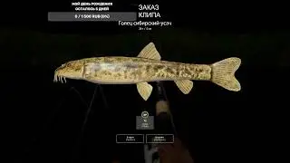 Русская Рыбалка 4 Russian Fishing 4 РАЗДАЧА Гольян озерный удачи всем