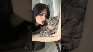 🪩тгк Мир Вам🪩
