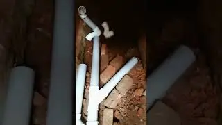 #viralshots