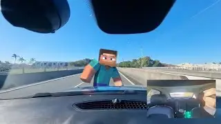 Jay Walking Steve【Minecraft】