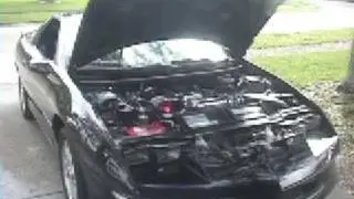Project 383 Stroker