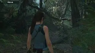 Shadow of the Tomb Raider (Тест на ФПС)