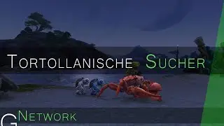 Die Tortollanischen Sucher (Tortollaner) | WoW Fraktions & Ruf Guide ✗