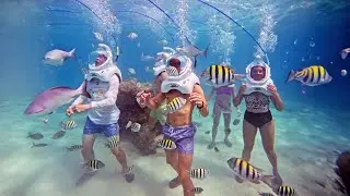 Walking On the Ocean Floor! (Sea Trek Helmet Diving)