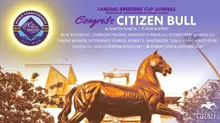 2024 FanDuel Breeders' Cup Juvenile presented by TB Aftercare - Citizen Bull