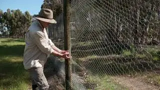 The story of the EBB - Video 6 - THE FENCE