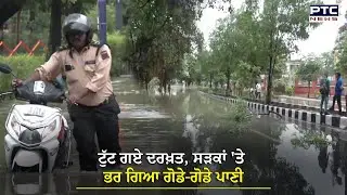 Gujarat Water Logging : ਟੁੱਟ ਗਏ ਦਰਖ਼ਤ, ਸੜਕਾਂ 'ਤੇ ਭਰ ਗਿਆ ਗੋਡੇ-ਗੋਡੇ ਪਾਣੀ, ਲੋਕਾਂ ਦਾ ਹਾਲ ਬੇ ਹਾਲ