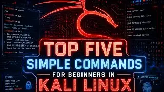 Stop Fearing the Terminal! Top 5 Beginner Commands in Kali Linux 🔥
