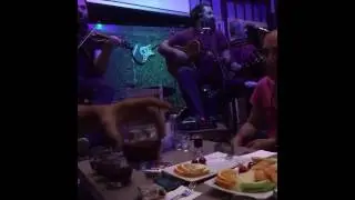 içimdeki duman cover remix türkçe müzik