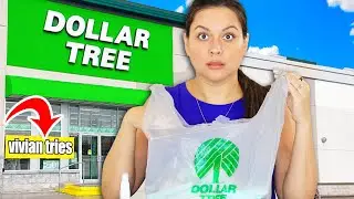 Dollar Tree's Latest Finds: My $1.25 Haul of NEW Products