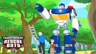 Transformers Rescue Bots | ¡Vamos a recoger manzanas! | Transformers para Crianças