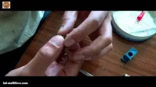 Мечение матки