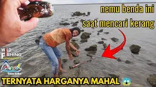 REJEKI NOMPLOK SAAT AIR LAUT SEDANG SURUT || MENDAPAT SPEAR GUN DI SELA-SELA BATU 😱