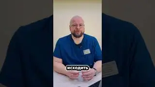 Актуальная схема вакцинации кошек 2024