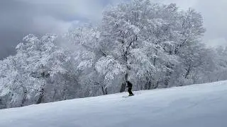 March 6th 2020 Nozawa Onsen Japan