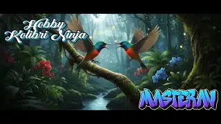 burung kolibri ninja,burung receh,tapi enak suaranya #kicaumania #burung